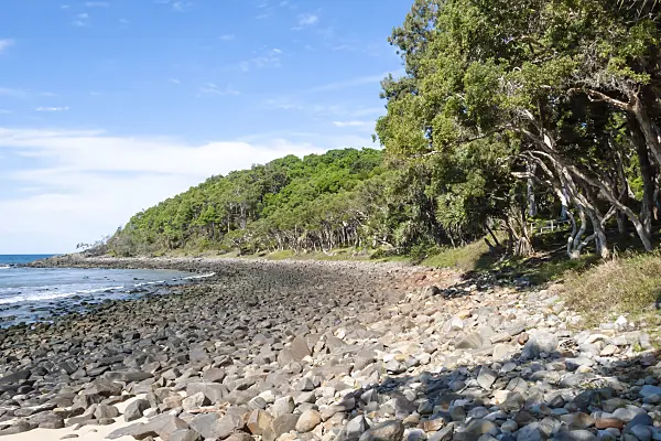 455132 - Tea Tree Bay, Noosa National Park, Australia