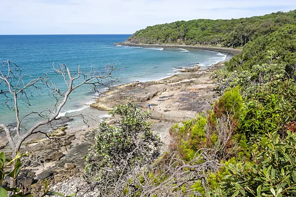 455133 - Tea Tree Bay, Noosa National Park, Australia