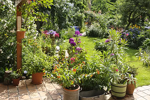 474338 - Terrace with West Indian lantana (Lantana camara) and oleander (Nerium oleander)