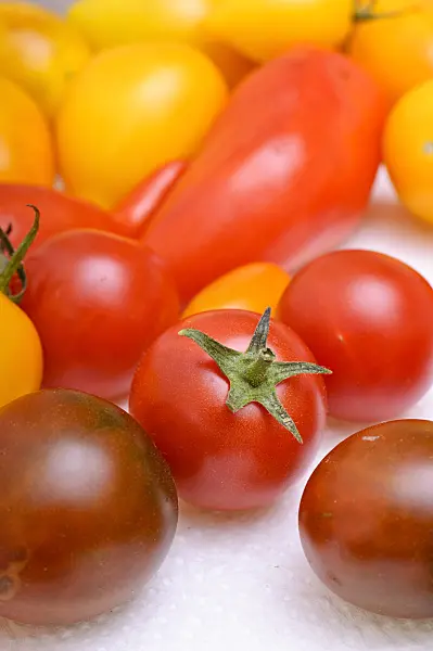 476068 - Tomatoes (Lycopersicon esculentum)