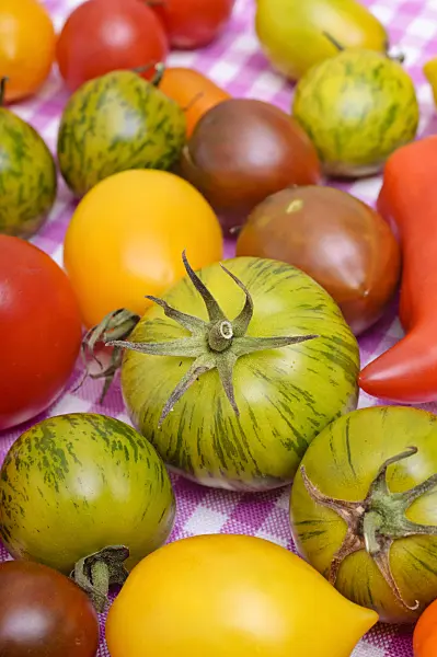 476069 - Tomatoes (Lycopersicon esculentum)