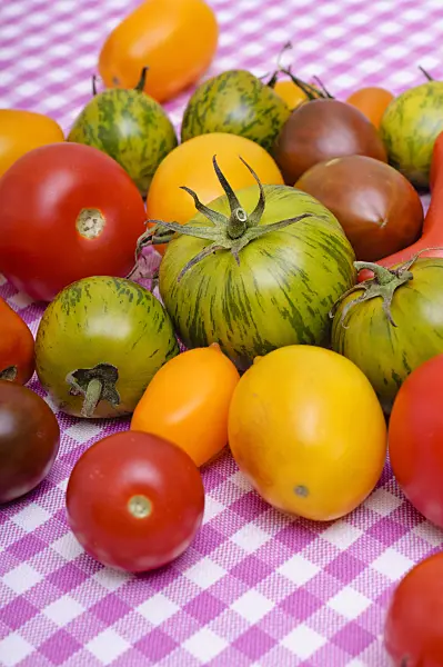 476071 - Tomatoes (Lycopersicon esculentum)