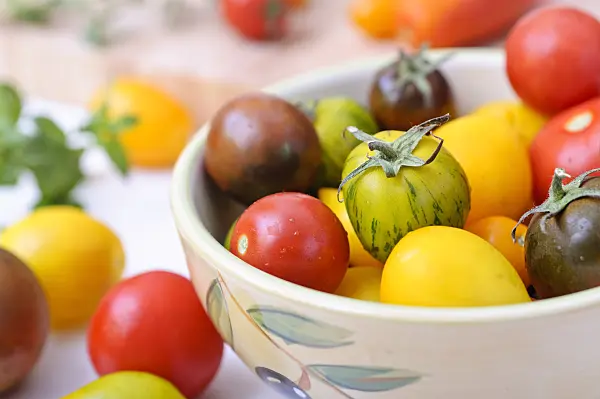 476087 - Tomatoes (Lycopersicon esculentum)