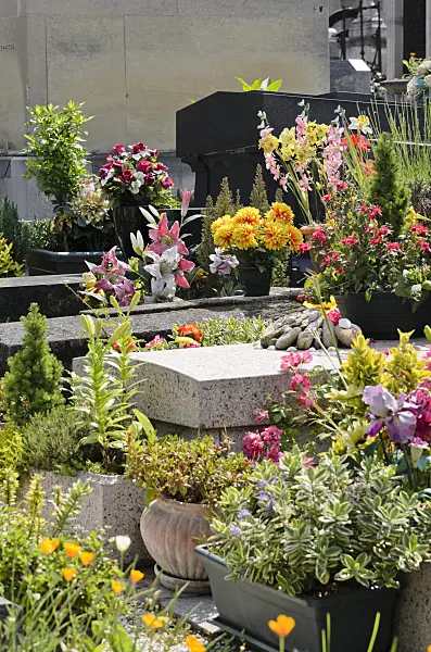 521412 - Tombs with rich floral decoration