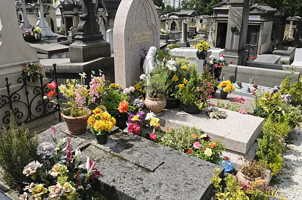 521413 - Tombs with rich floral decoration