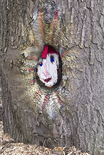 578026 - Tree trunk with a painted face