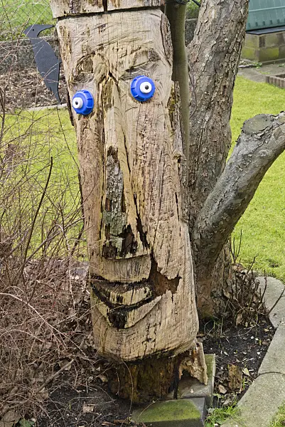 540001 - Tree with face in a garden