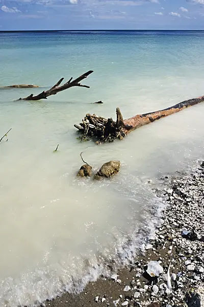 391081 - Trees in the water, Jasmund National Park, Rügen, Germany