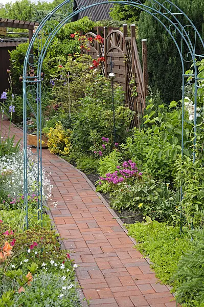 484345 - Trellis in an allotment garden