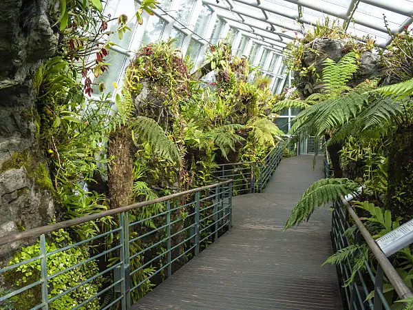 411015 - Tropical house with footbridge, National Orchid Garden, Singapore