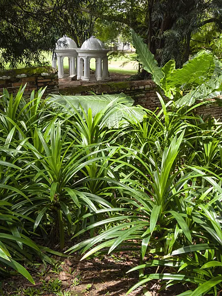 411162 - Tropical plants in front of two white pavilions, Fort Canning Park, Singapore