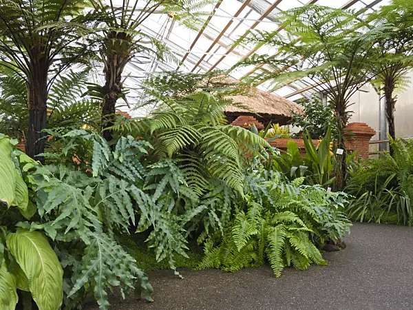 418096 - Tropical plants with red wall and thatched hut, Balinese Garden, Erholungspark Marzahn, Berlin, Germany