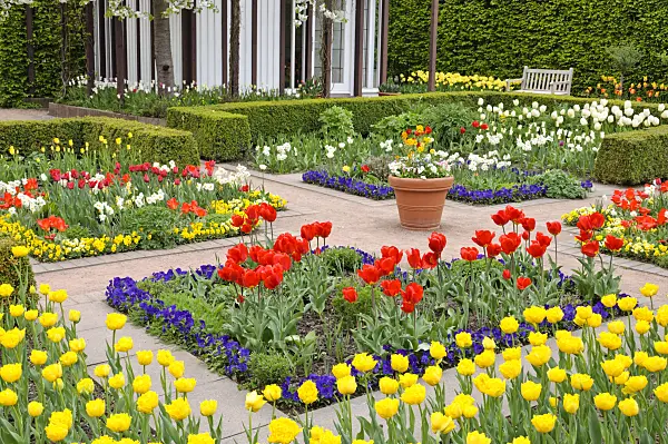 471192 - Tulip garden, Britzer Garten, Berlin, Germany