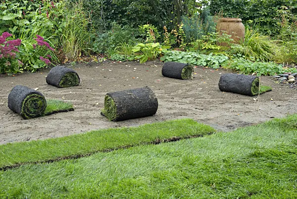 460028 - Turf, partially laid out and rolled up in an allotment garden