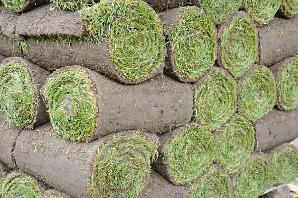 548126 - Turf stacked in several layers