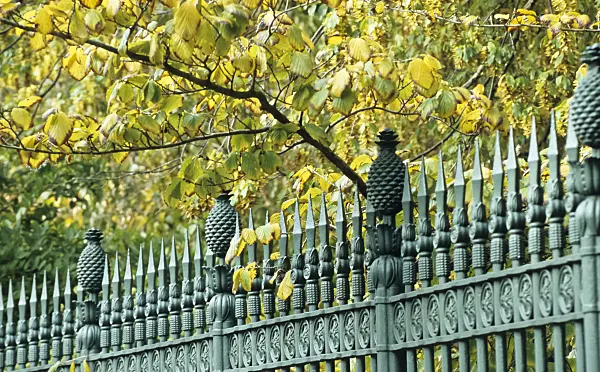 440183 - Turquoise-coloured metal garden fence with ornaments, pineapple-shaped tops and lance-shaped tips
