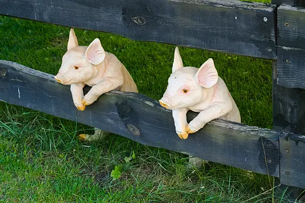 670019 - Two pig figures on a garden fence