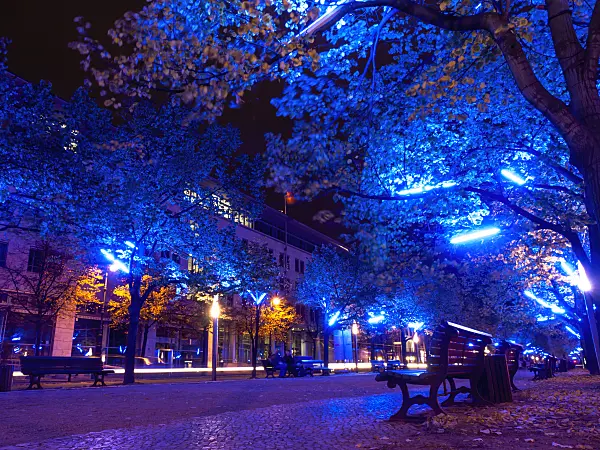 442146 - Unter den Linden, Berlin, Germany