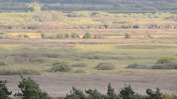 501129 - Vallée de l'Oder entre Gartz et Mescherin, parc national de la vallée de la Basse-Oder, Allemagne