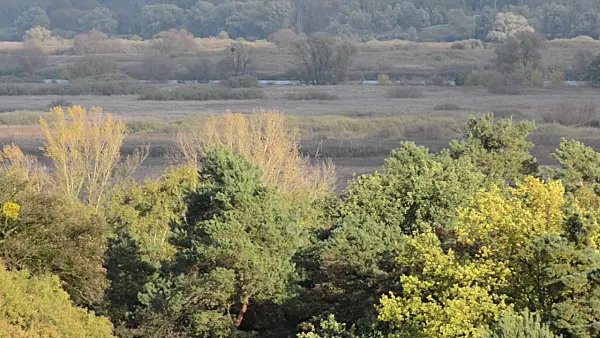 501130 - Vallée de l'Oder entre Gartz et Mescherin, parc national de la vallée de la Basse-Oder, Allemagne