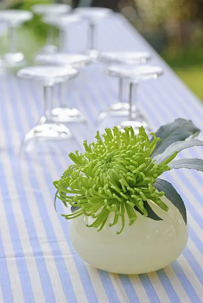 518014 - Vase with chrysanthemum flower on a table