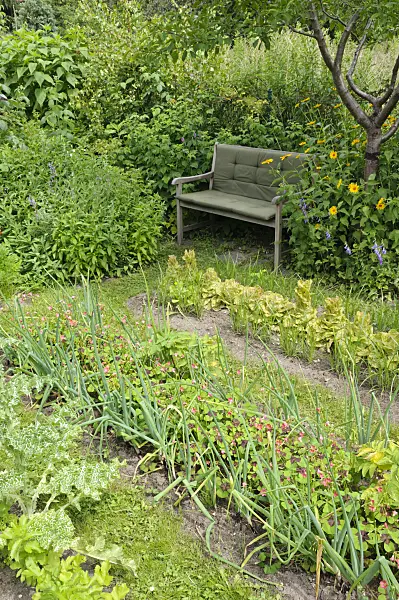 474134 - Vegetable beds in a natural garden