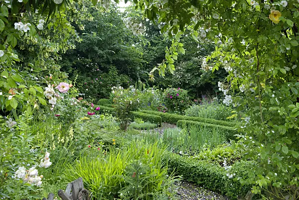452153 - Vegetable garden with box hedges