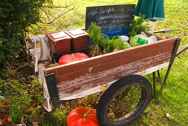 670037 - Vegetable stall