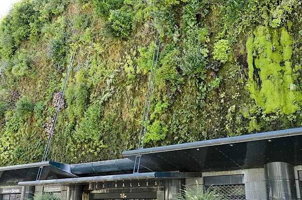 557212 - Vertical garden, Halles d'Avignon, France