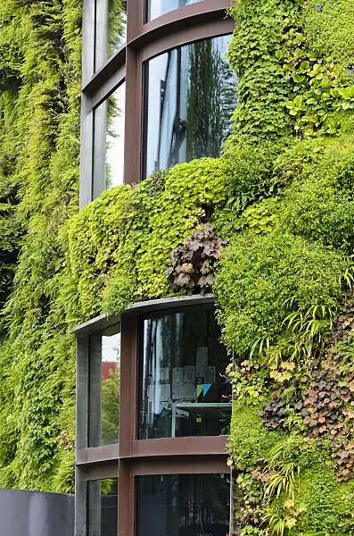 521402 - Vertical garden, Musée du quai Branly, Paris, France