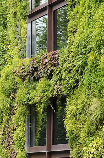 521403 - Vertical garden, Musée du quai Branly, Paris, France