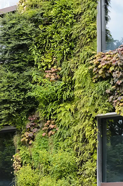 521404 - Vertical garden, Musée du quai Branly, Paris, France