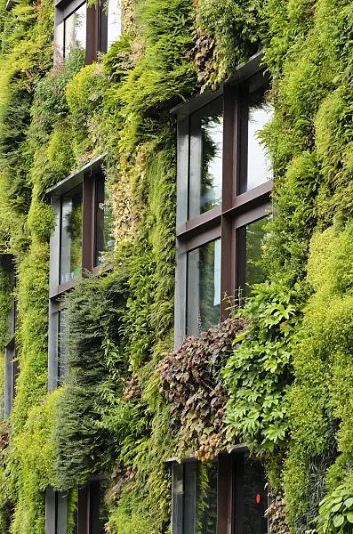 521405 - Vertical garden, Musée du quai Branly, Paris, France