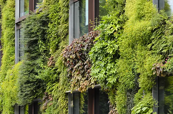 521406 - Vertical garden, Musée du quai Branly, Paris, France