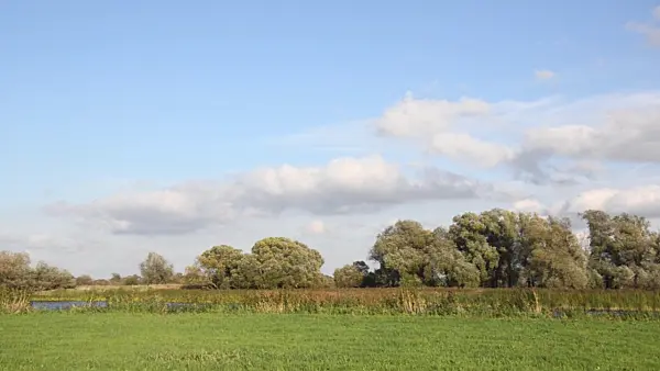501028 - Vieux bras de la Oder, parc national de la vallée de la Basse-Oder, Allemagne