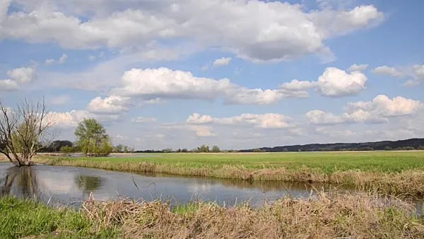 507151 - Vieux bras de la Oder, parc national de la vallée de la Basse-Oder, Allemagne