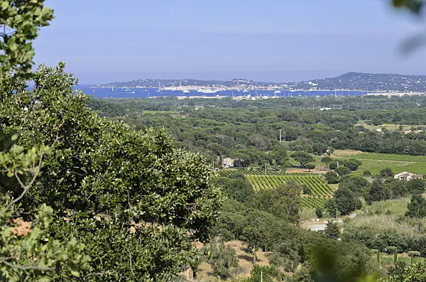 569044 - View of the Gulf of Saint-Tropez, France