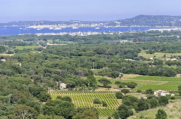 569046 - View of the Gulf of Saint-Tropez, France