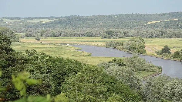 509196 - View of the Oder Valley from Stützkow Viewpoint, Lower Oder Valley National Park, Germany