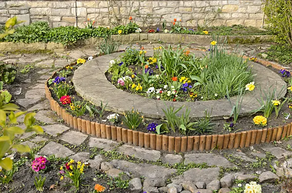 555056 - Violets (Viola), common daisy (Bellis), primroses (Primula) and tulips (Tulipa) in a round bed