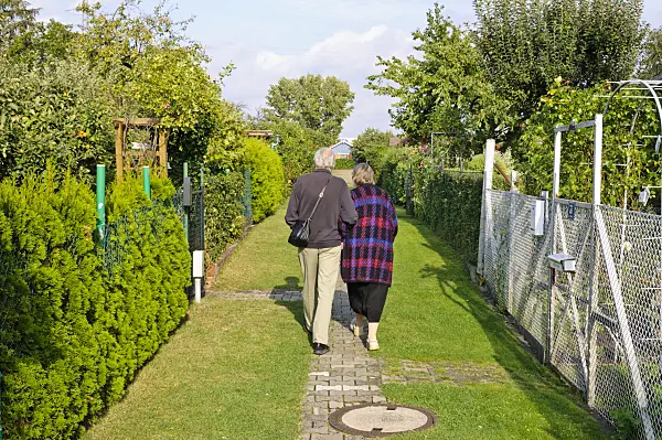 476095 - Walkers at an allotment site