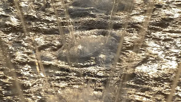 510155 - Wasserspiele in einem orientalischen Garten