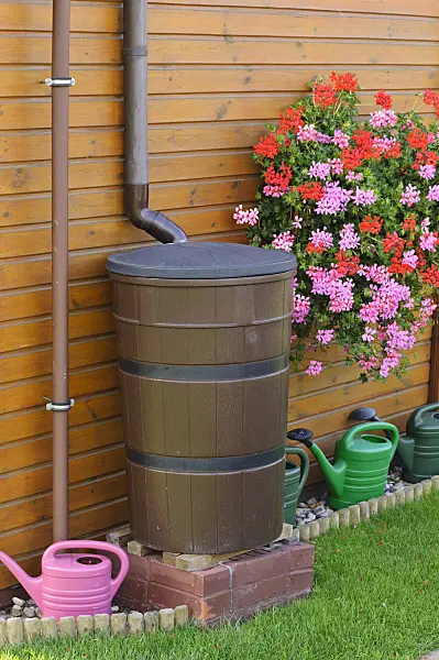 476098 - Water butt with watering cans