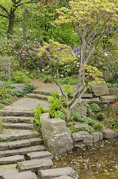 471185 - Water garden, Britzer Garten, Berlin, Germany