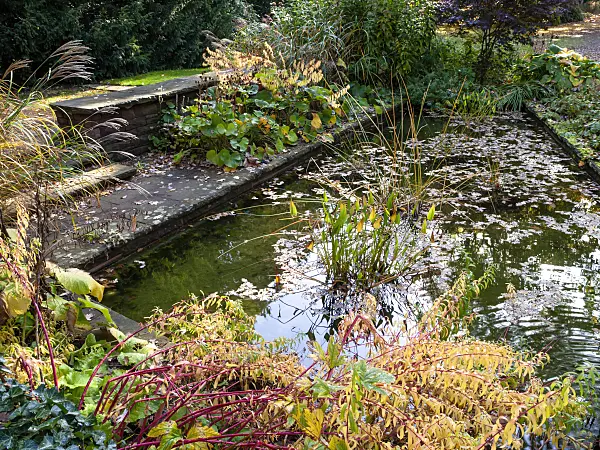 465155 - Water garden, Stadtpark, Hanover, Germany