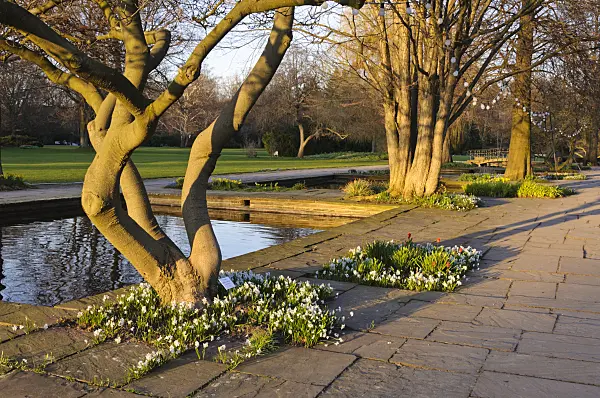 470135 - Water garden, Stadtpark, Hanover, Germany