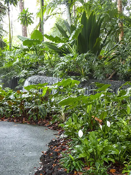 411138 - Waterfall in a tropical garden