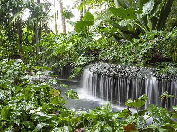 411140 - Waterfall in a tropical garden