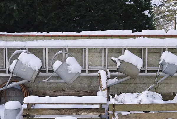 483015 - Watering cans in winter