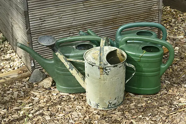 558004 - Watering cans made of sheet metal and plastic in front of a raised bed